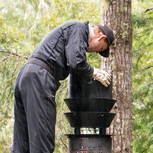 Chimney Cleaning and Fire Place Maintenance.